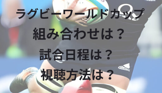 ラグビーワールドカップ(W杯)2023地上波テレビ放送・配信予定は？